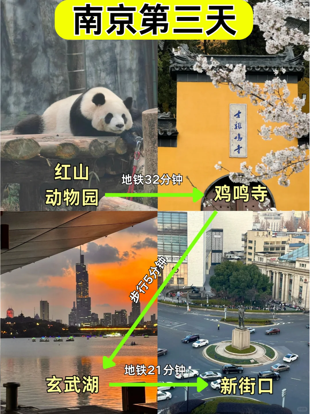 📍1.8南京已回。。好冷😭我都崩溃了