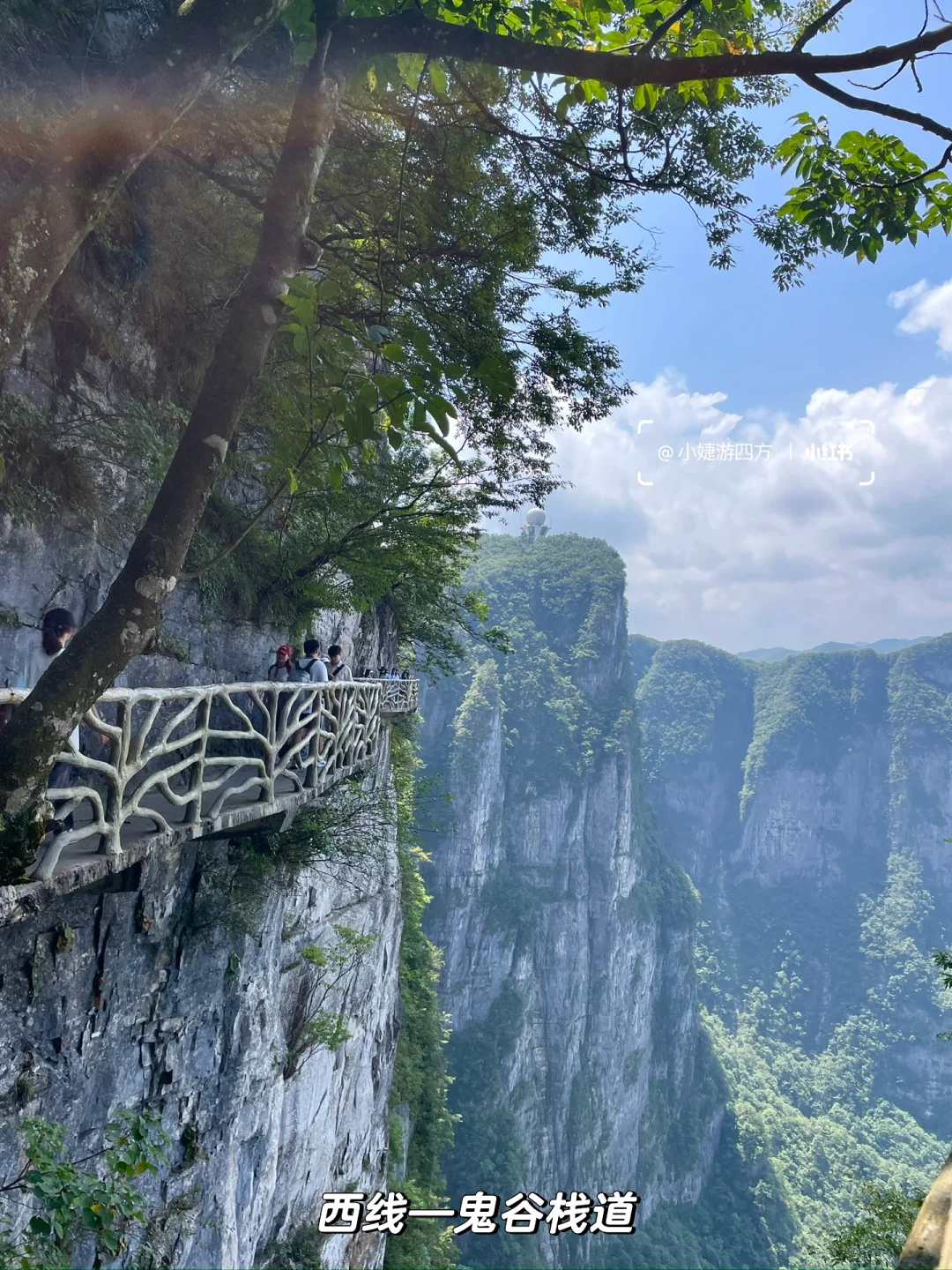 张家界天门山｜24年ABC/东西全路线游玩攻略