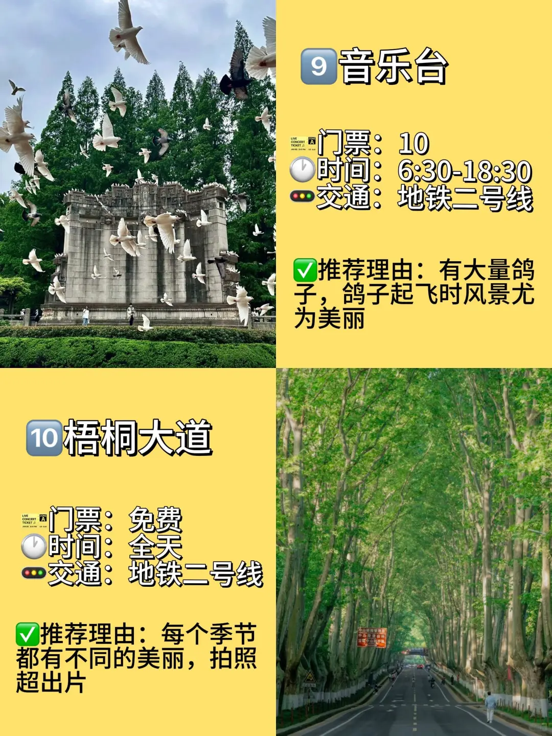 南京必去啊啊！十大景点！！！旅游前必看！！