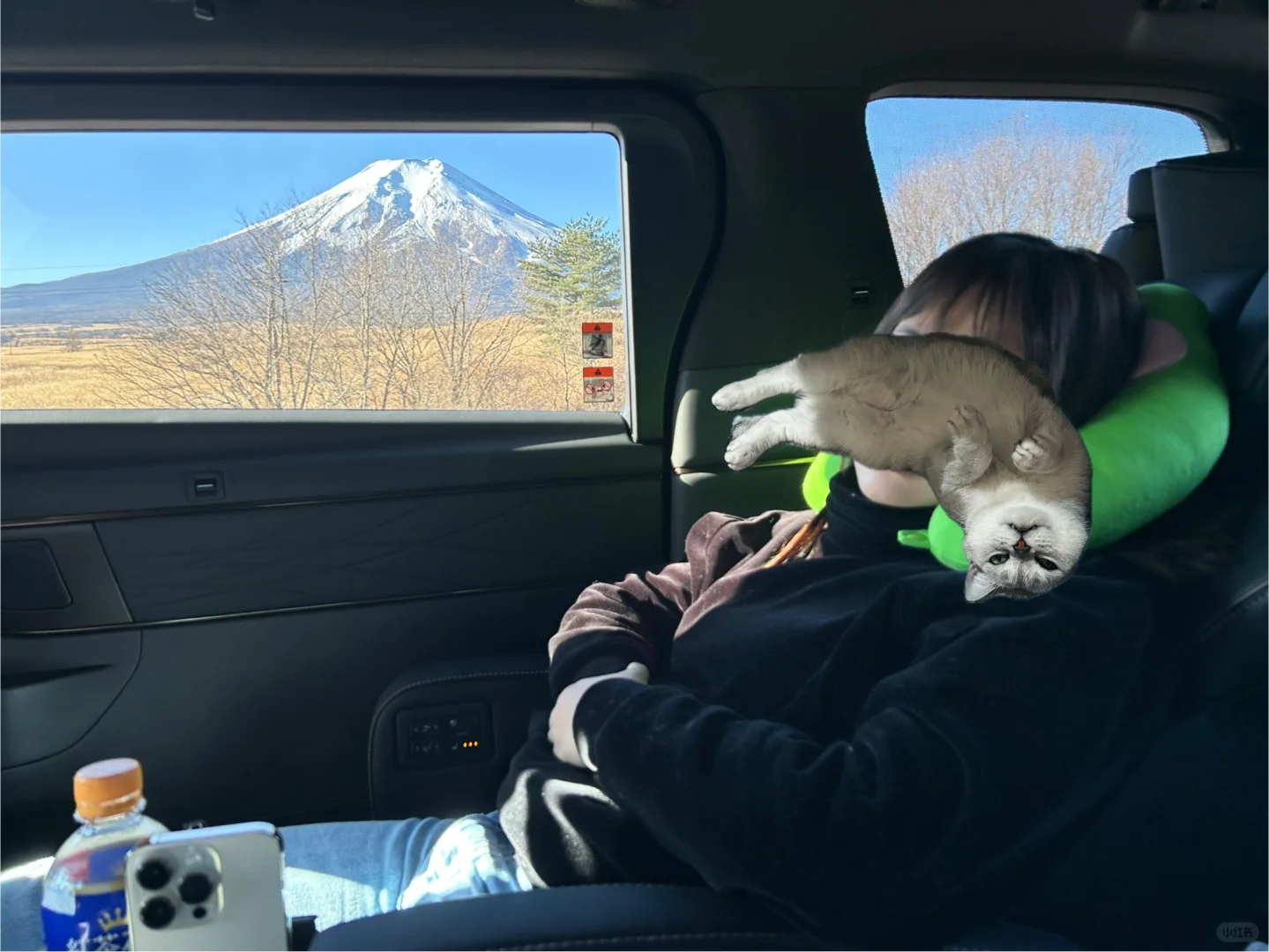 在富士山下听kpop