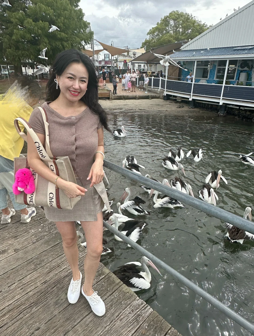 鹈鹕之旅