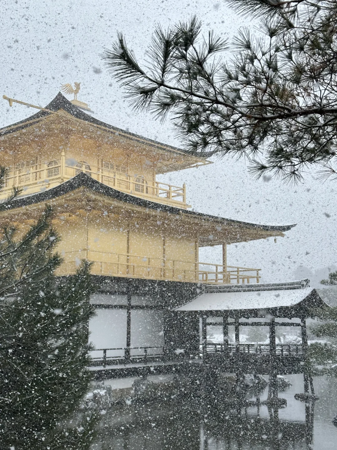 雪顶金阁寺❄️