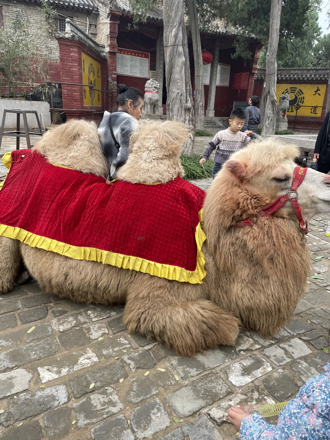 游大伾山