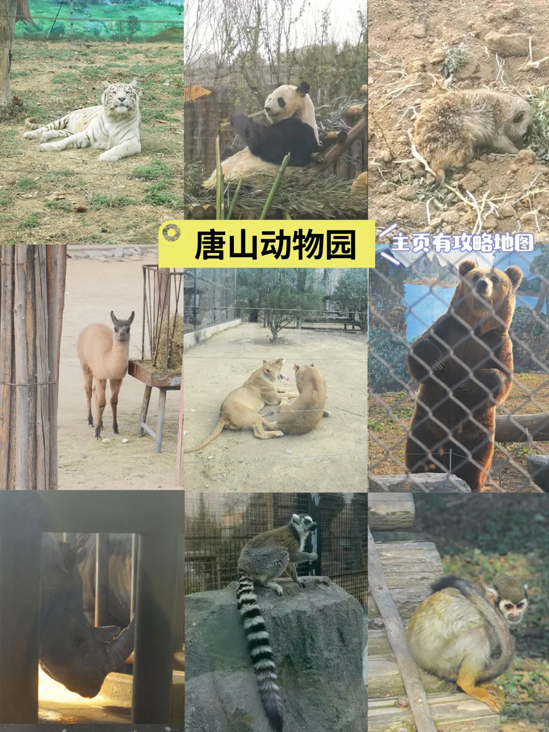 唐山冬季旅游全攻略🔥唐山景点合集地图