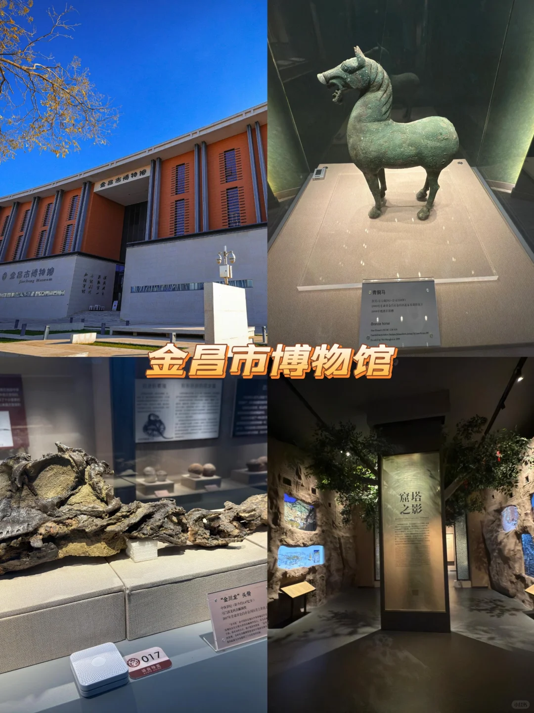 甘肃旅游🔥金昌必打卡的9大景点✅