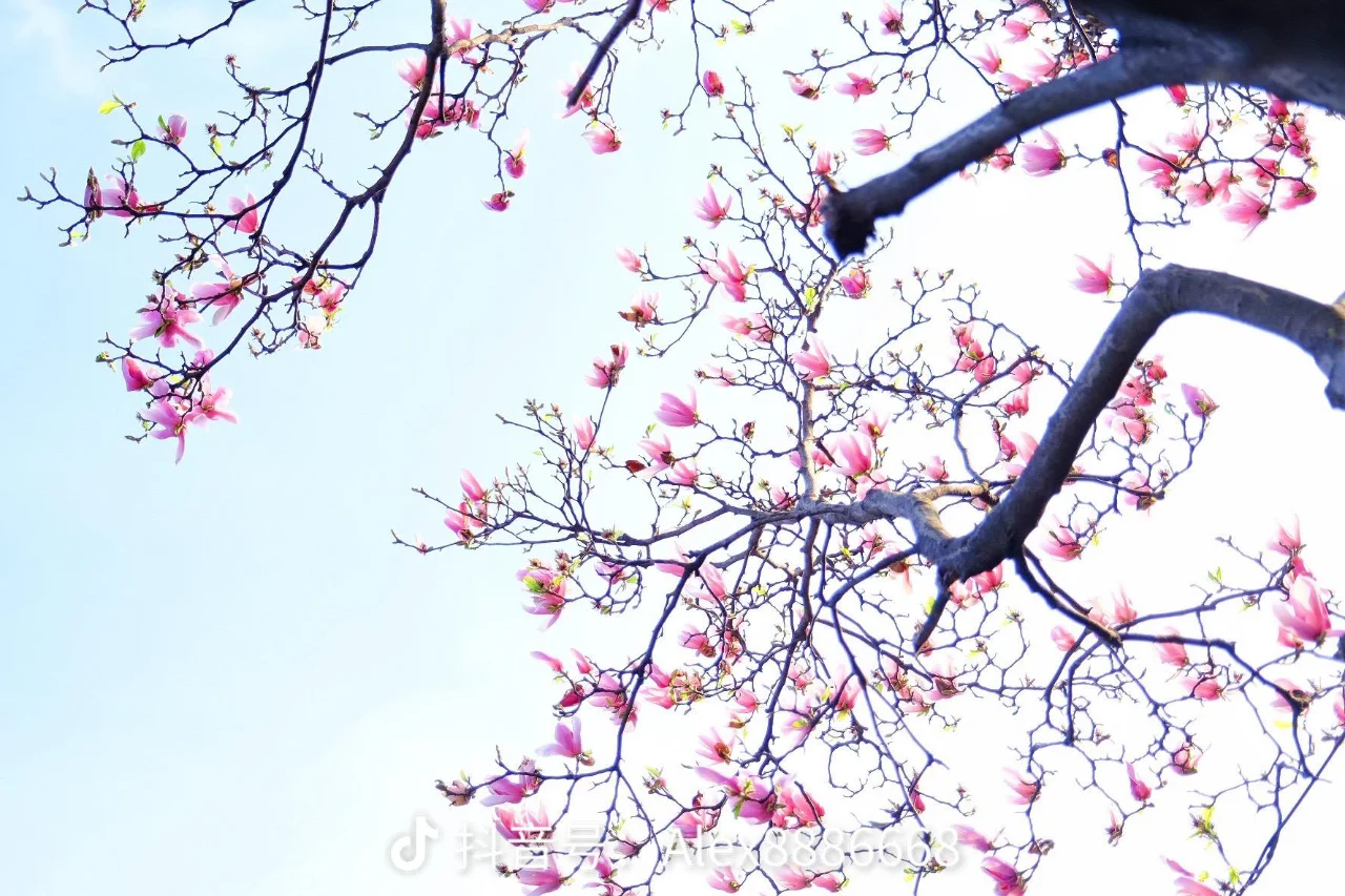 昆山印象