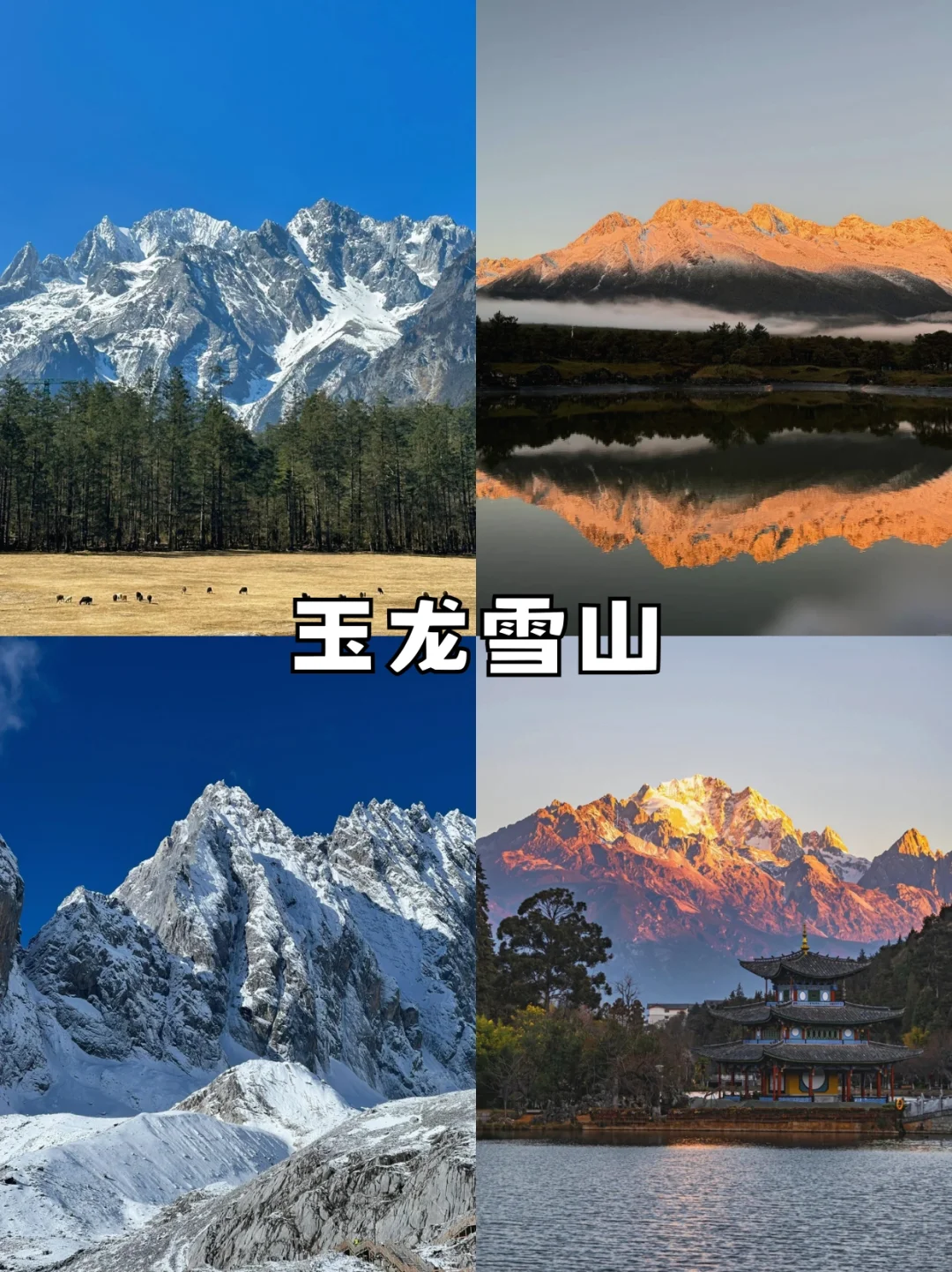 云南必去九大热门景点！！！👀