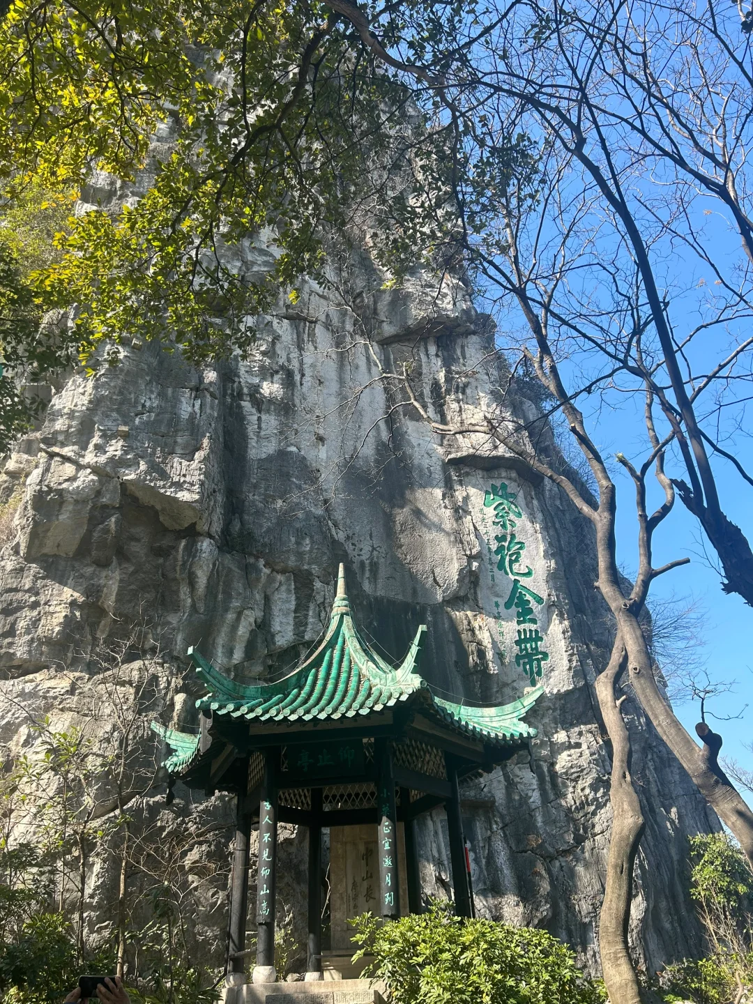 美
