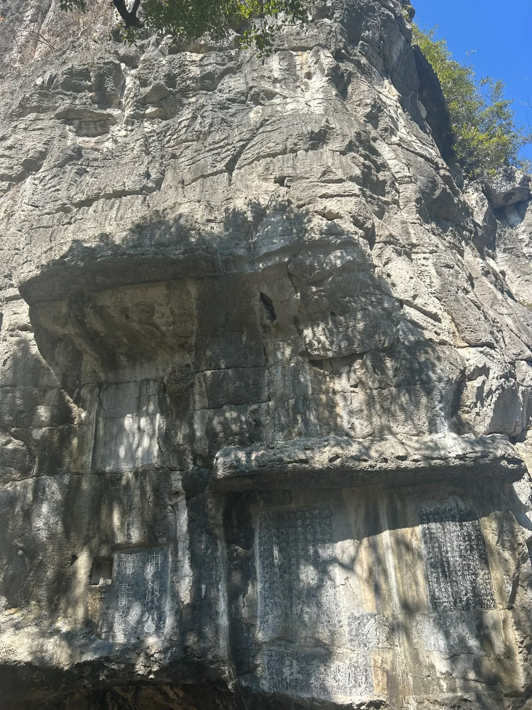 美