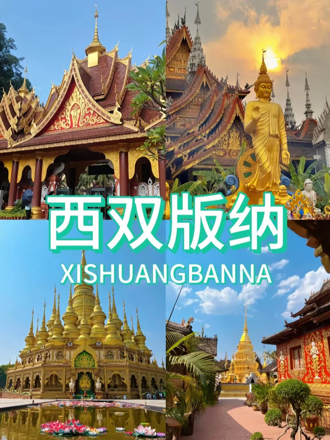 冬季反向旅游9个避寒城市🏝收藏好啦‼️