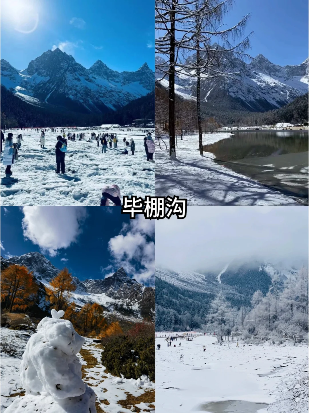 川西丨毕棚沟+四姑娘山⛰️纯玩2日