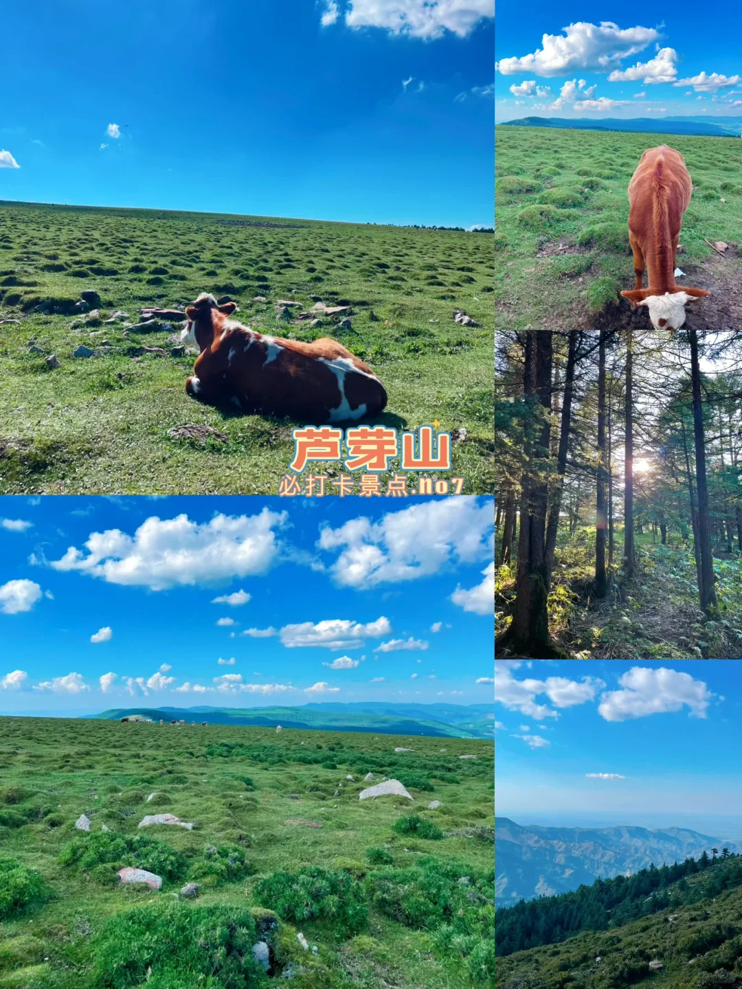 挑战一年去100座城市🎉第39站📍忻州市✅