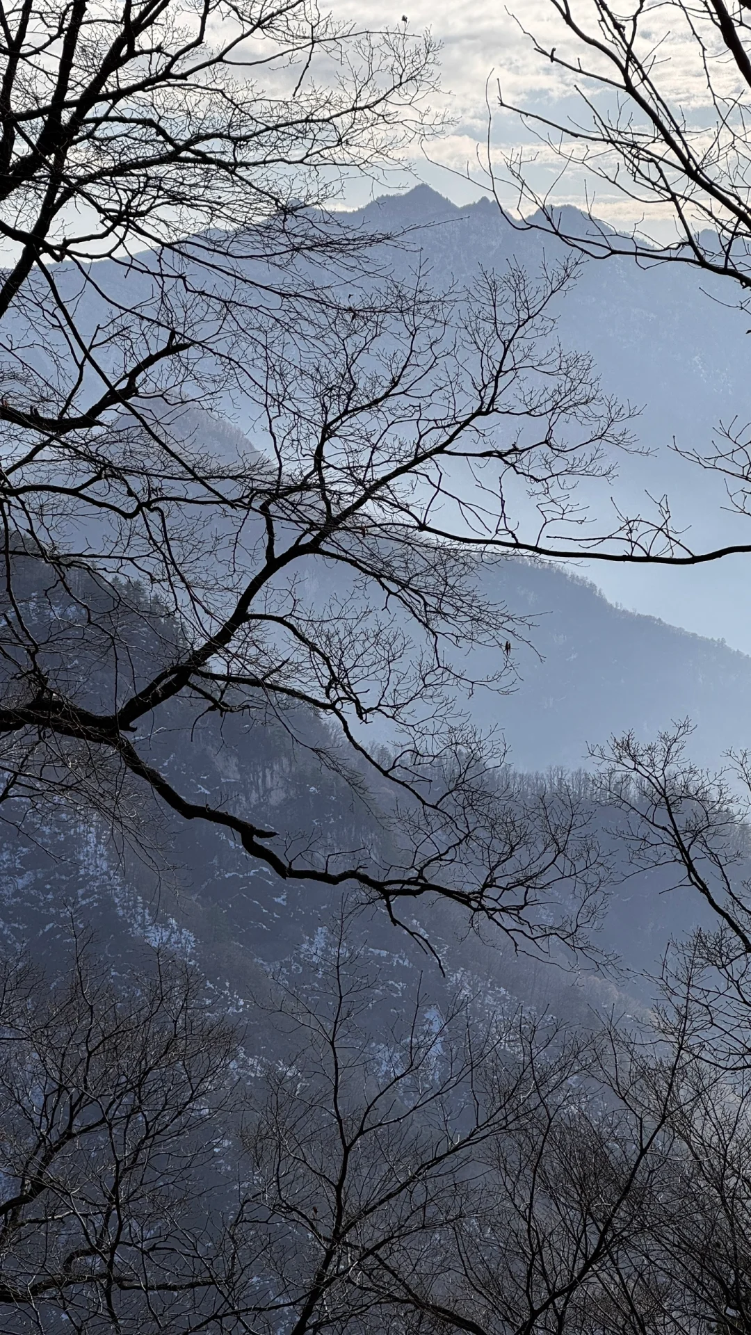 秦岭小黄山
