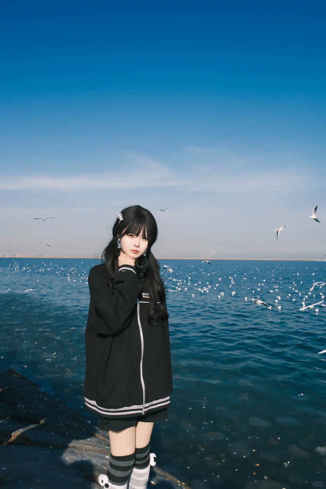 海边的甜妹与海鸥！