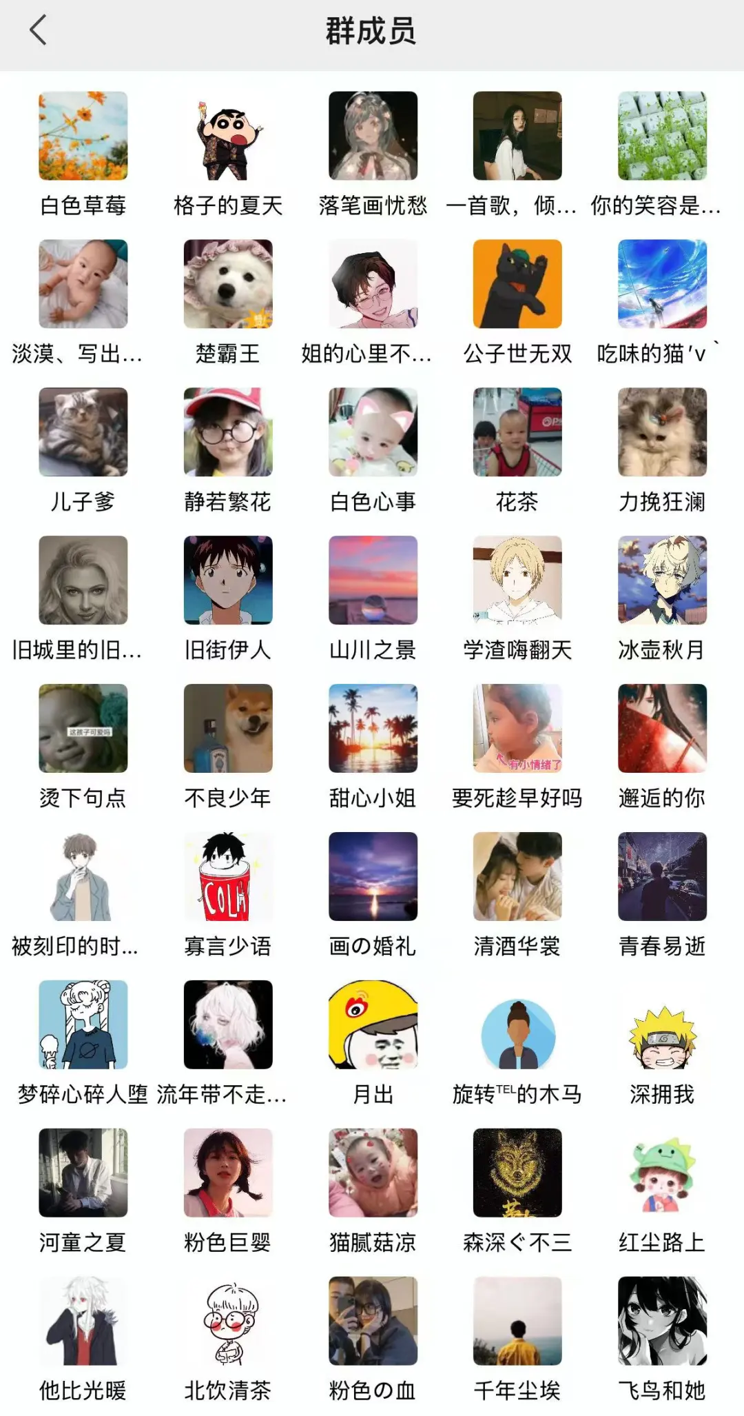 有这样一个旅游搭子群是什么体验？太幸福啦