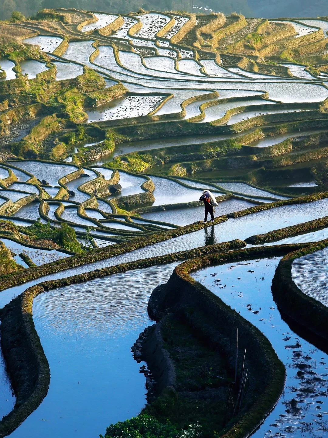 春节一定要冲21°C的弥勒！真的反向旅游天花