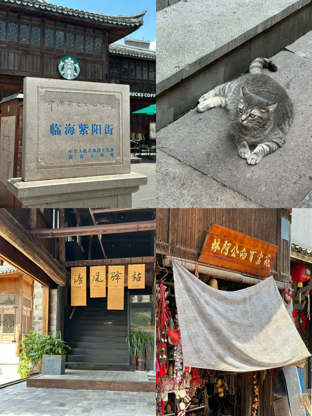 刚和闺蜜从台州回来🥶我的建议是……