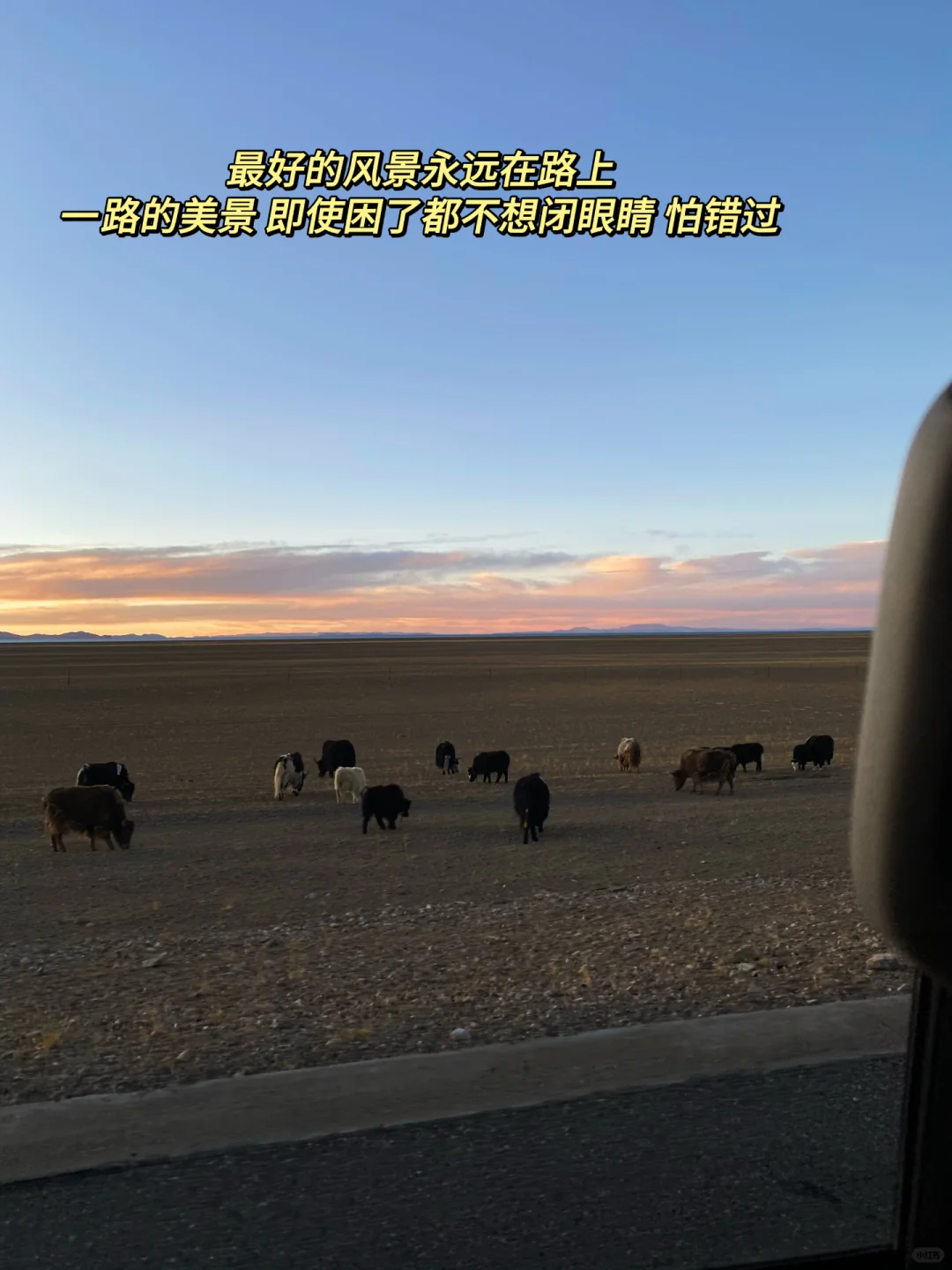 刚才西藏回来，7天6晚4k💰真实经验感受