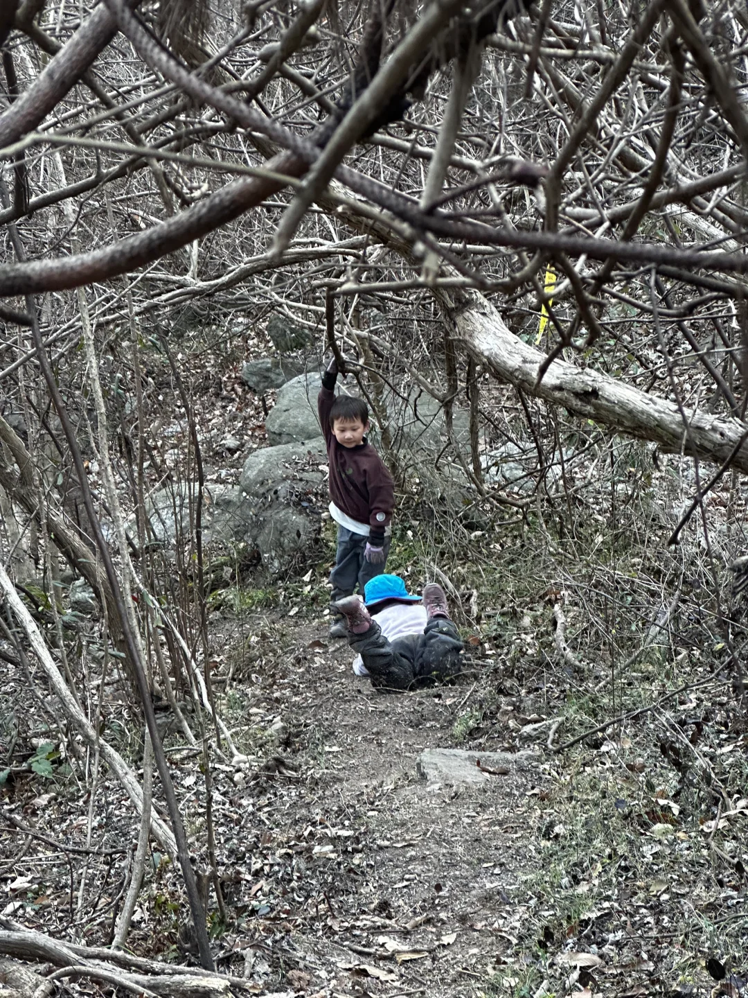 如愿打卡清凉寨景区西峰古寨“武汉之巅”