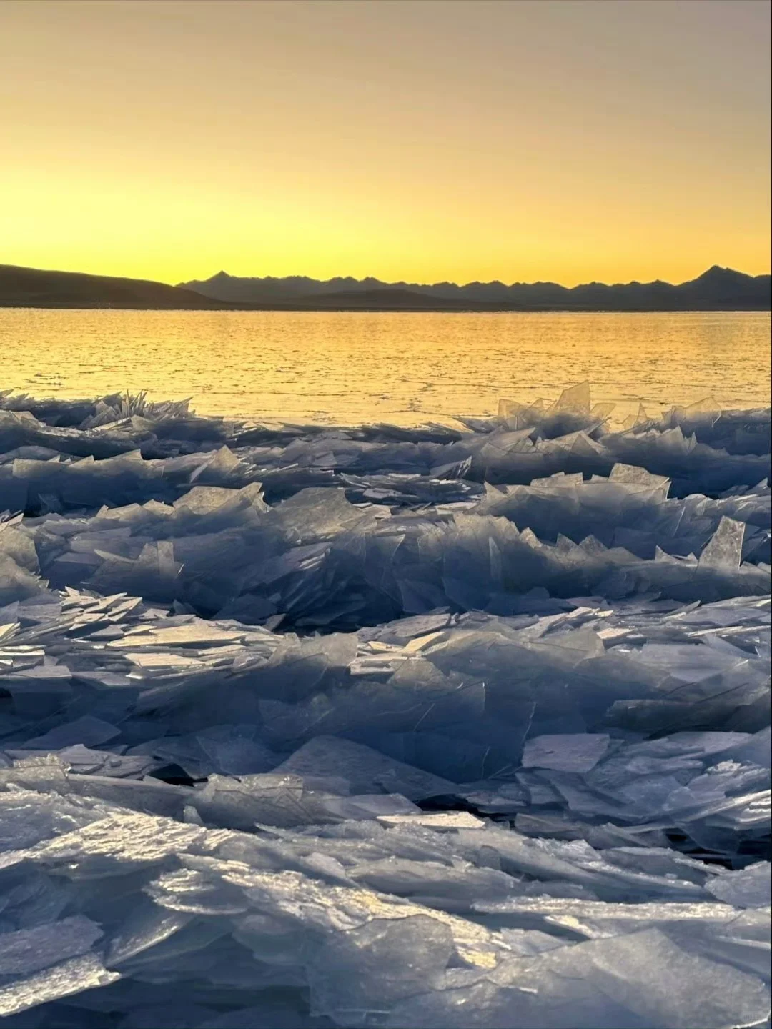 1.11号📍西藏现状…要去的姐妹要注意了