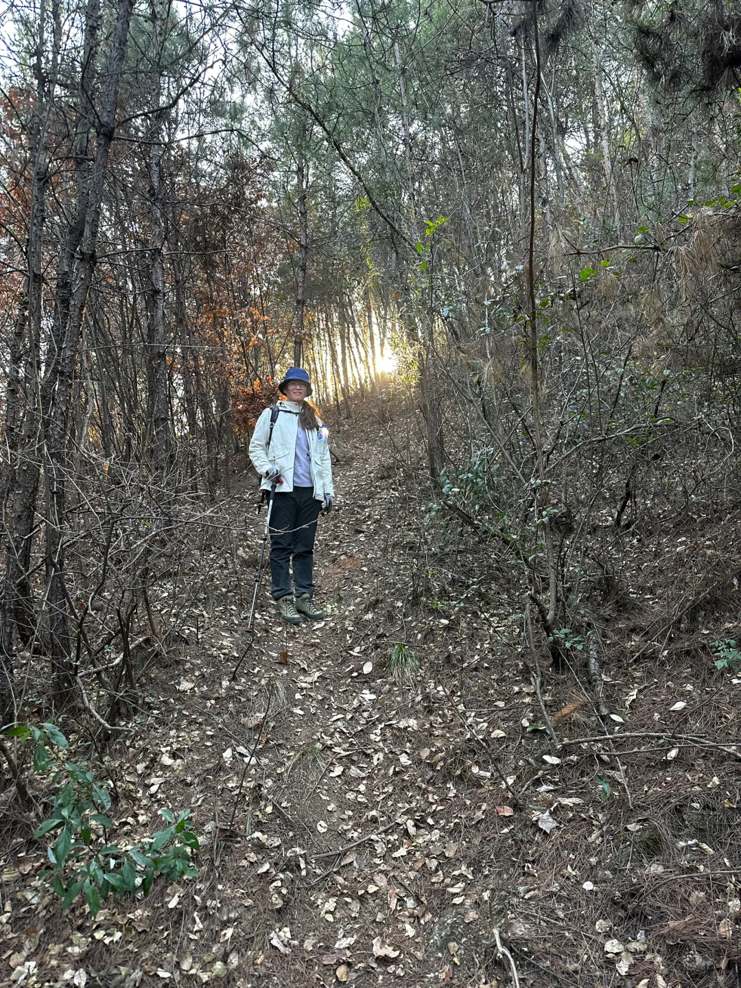 如愿打卡清凉寨景区西峰古寨“武汉之巅”
