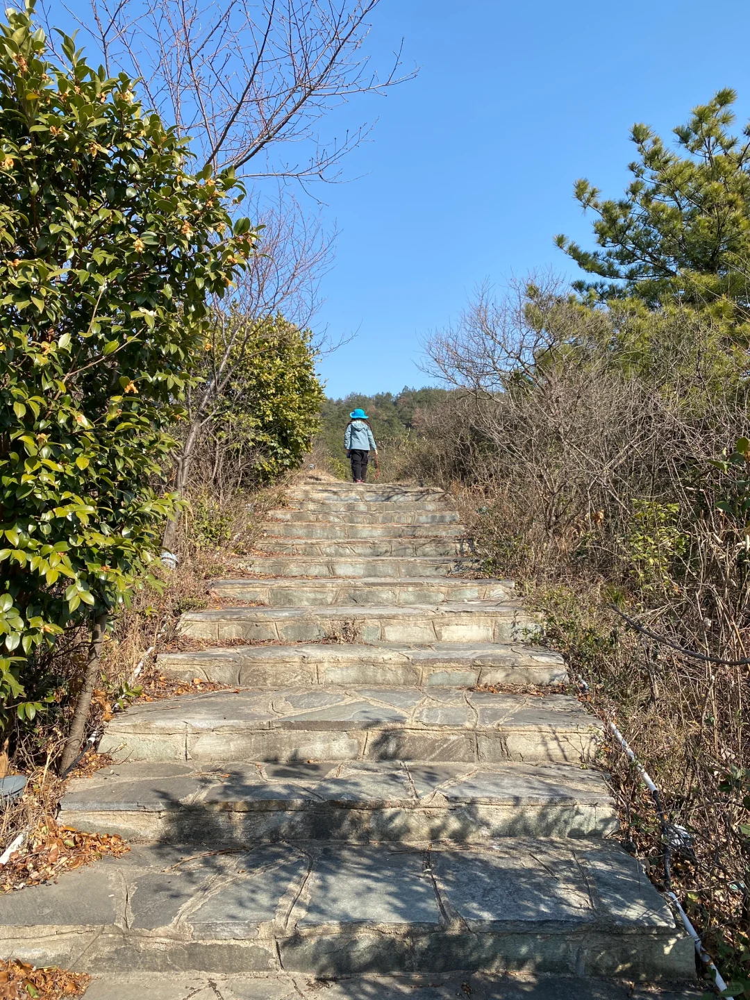 如愿打卡清凉寨景区西峰古寨“武汉之巅”