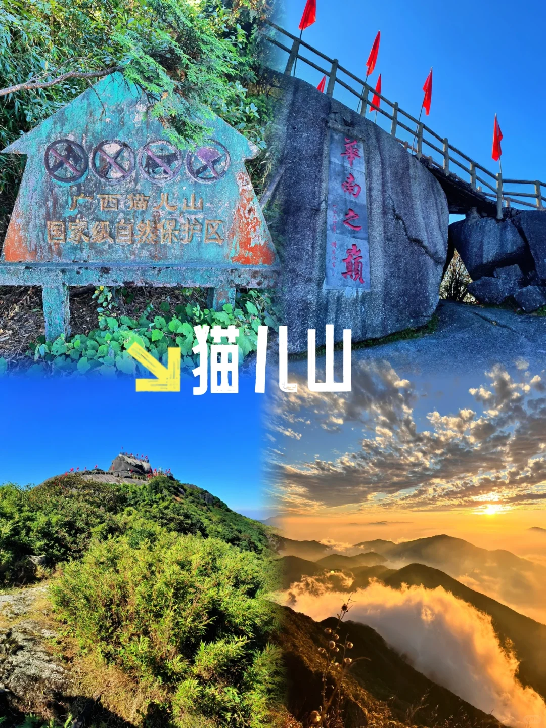 走进桂林，尽享山水画卷🎞