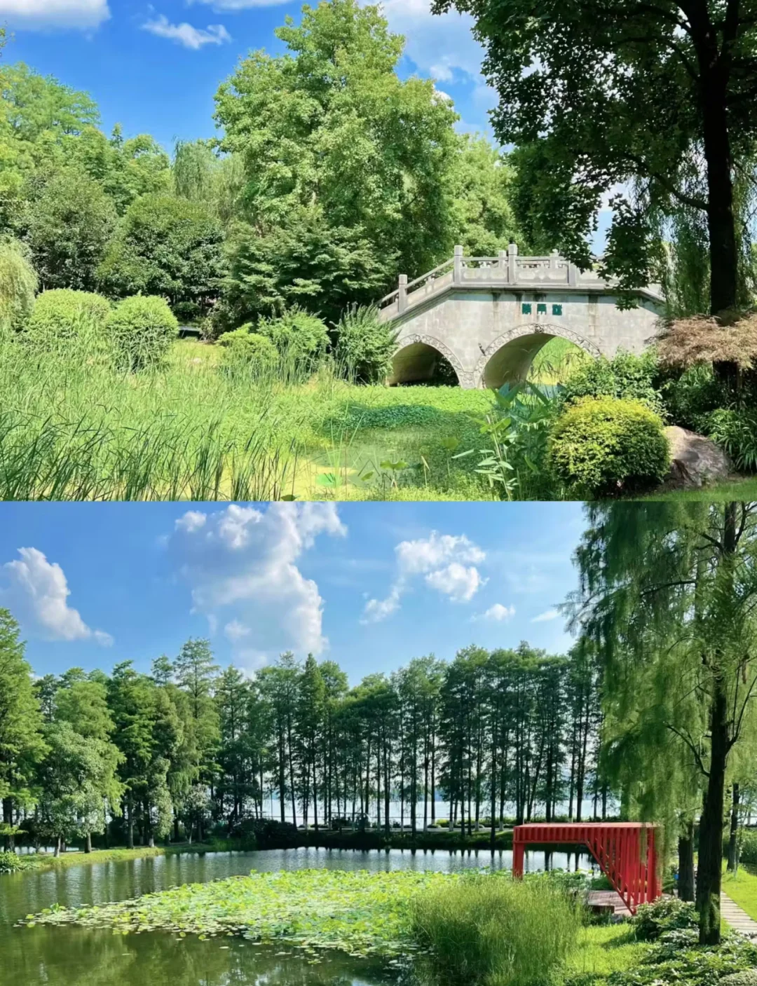 🌸武汉东湖全攻略