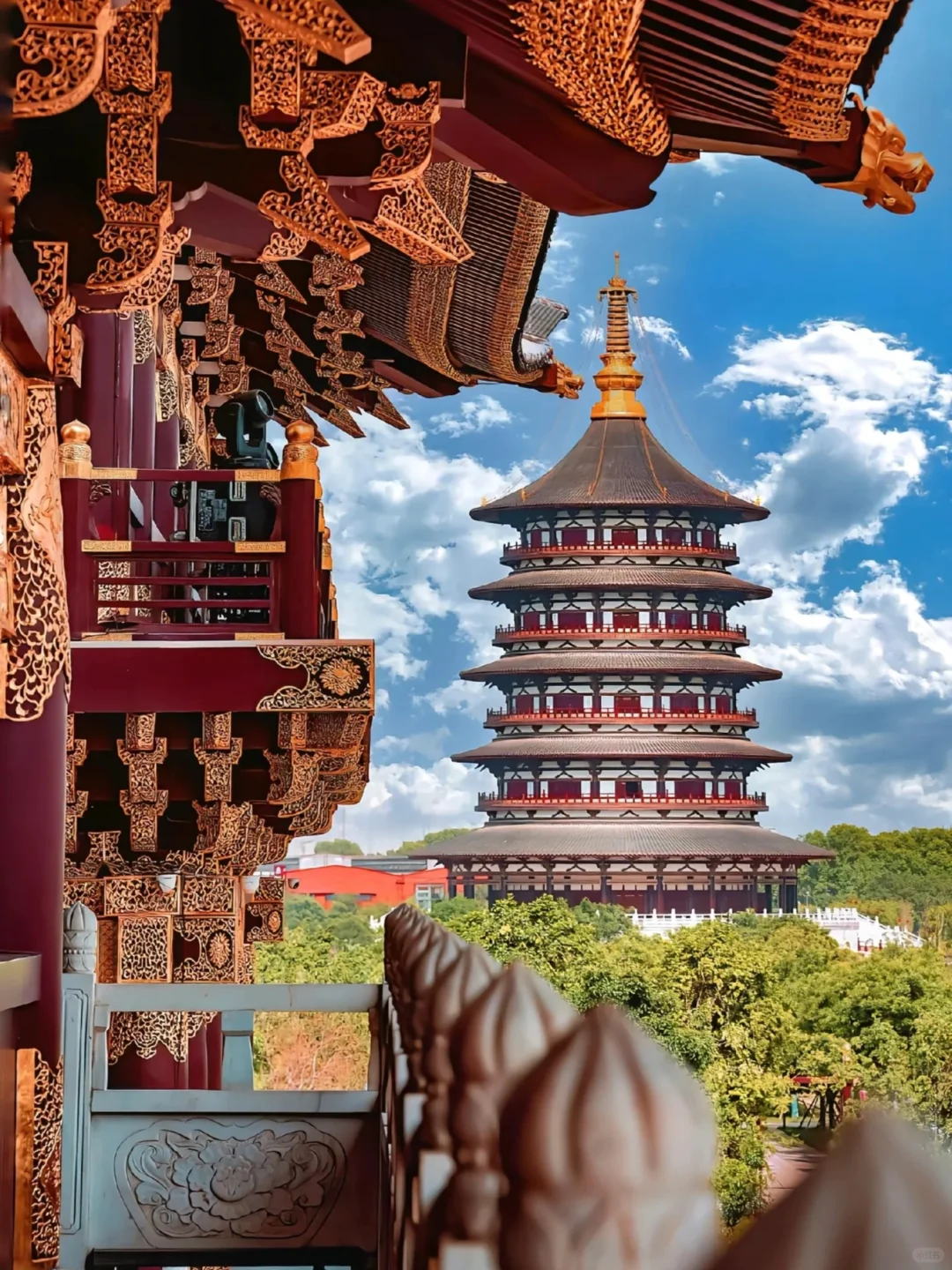 第一次带爸妈去洛阳（全攻略）