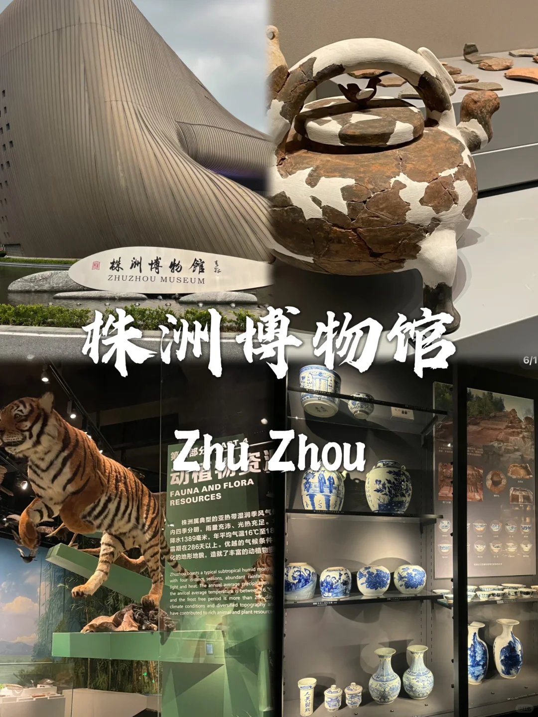 株洲最值得去的九个景点✅