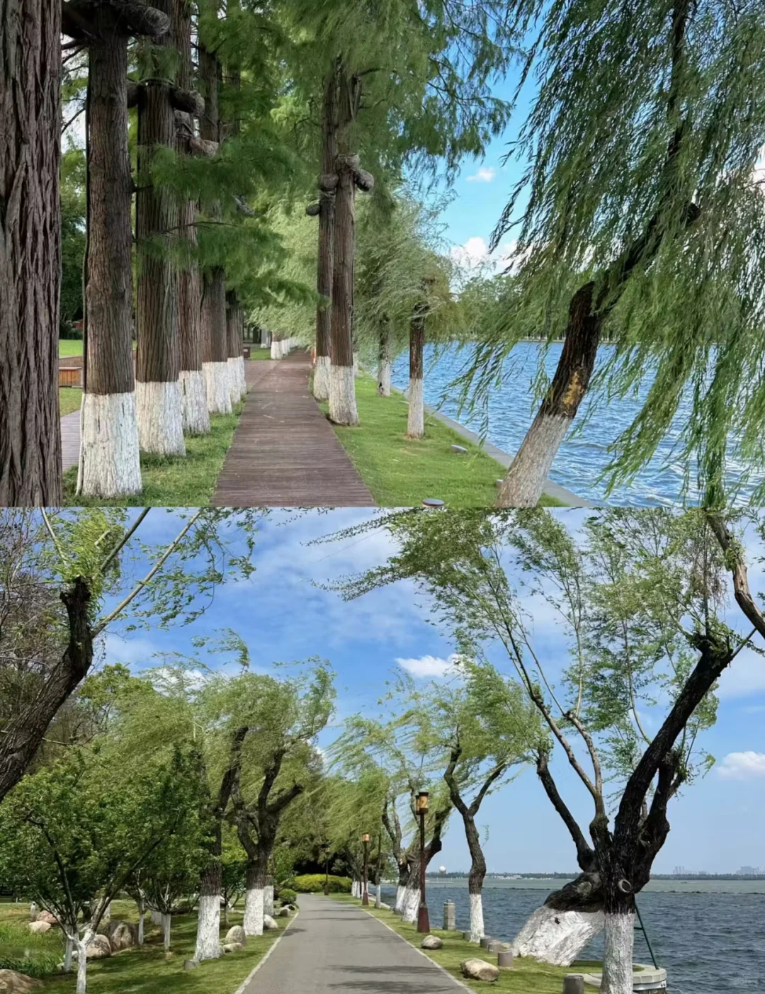 🌸武汉东湖全攻略