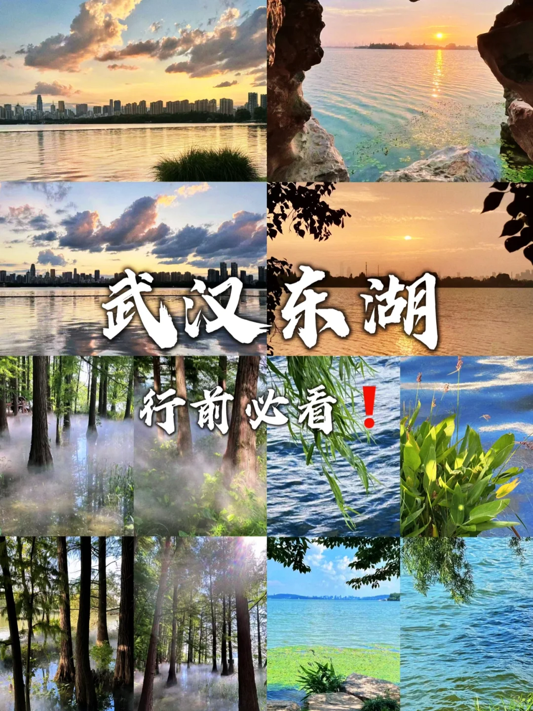 🌸武汉东湖全攻略