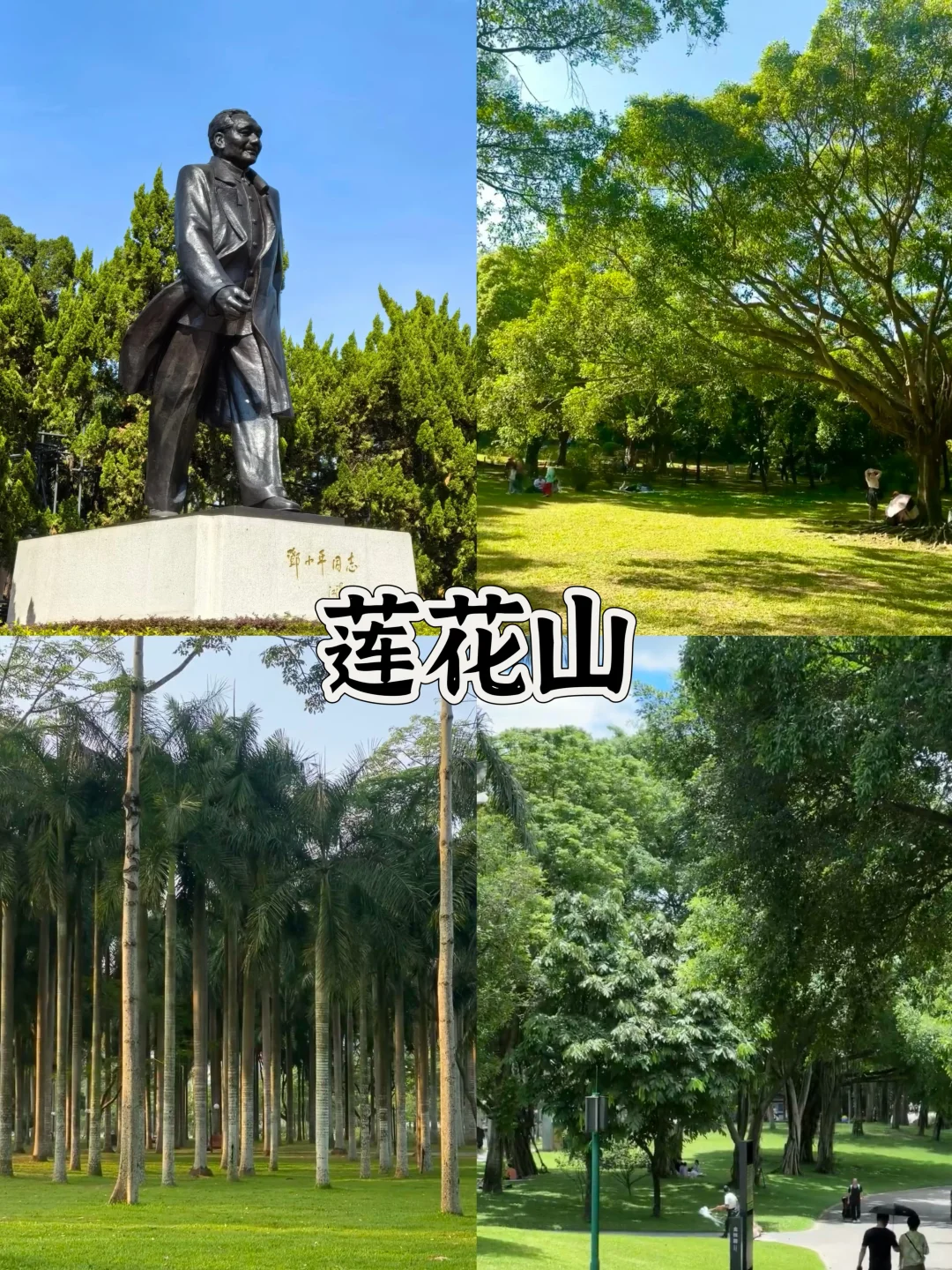 🔥深圳春节4天3夜旅游攻略(看海➕市区)