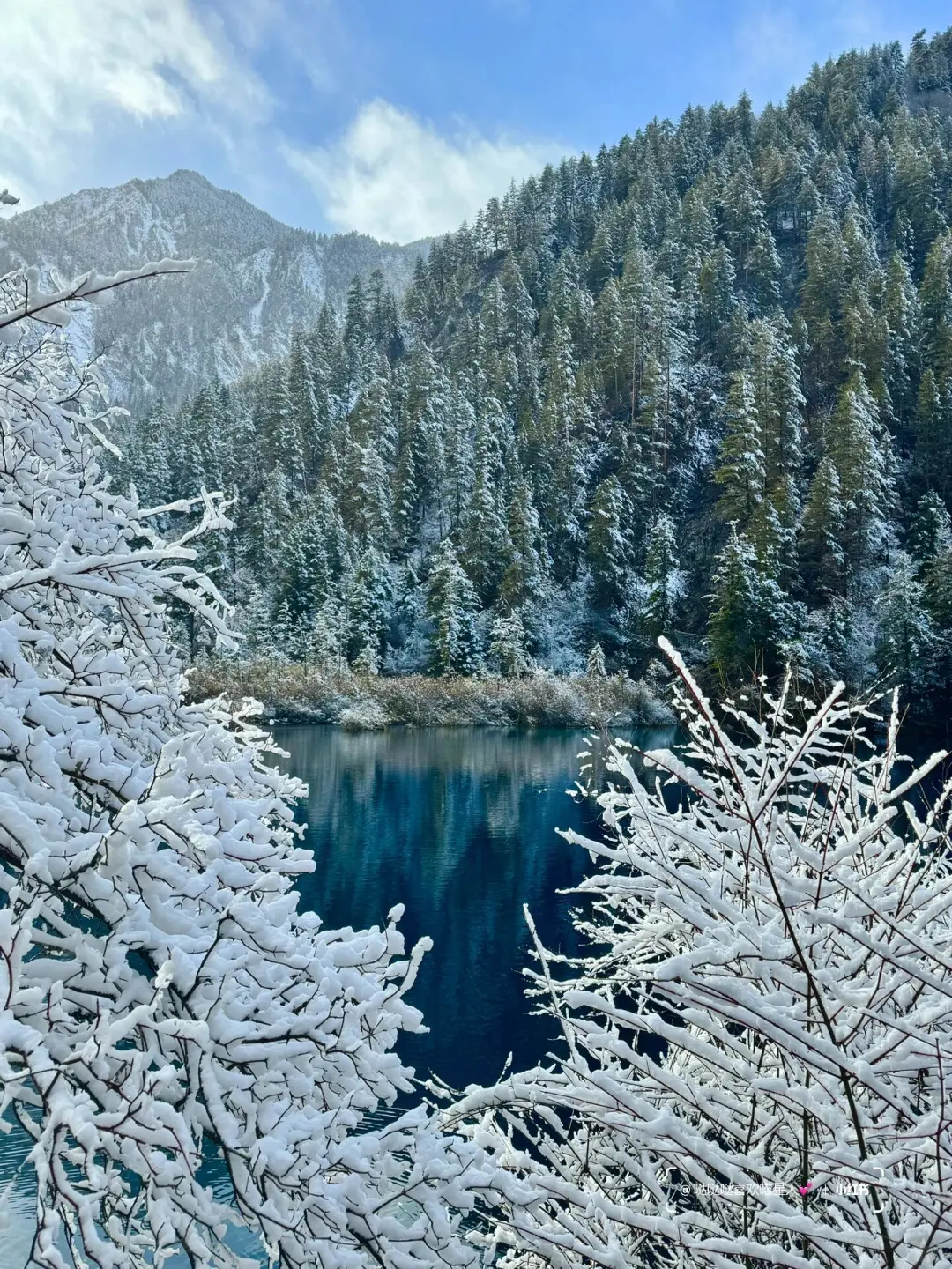 12.28📍九寨沟豪赌成功！简直不要太美了