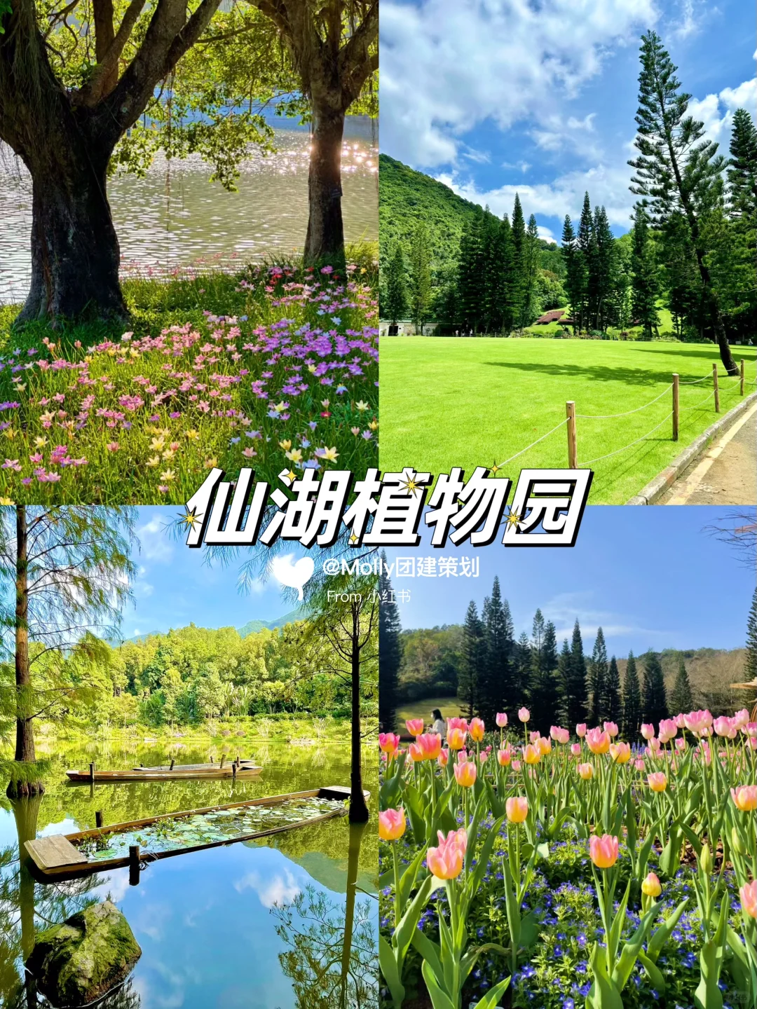 深圳周末去哪儿 | 必打卡的11个宝藏景点🔥