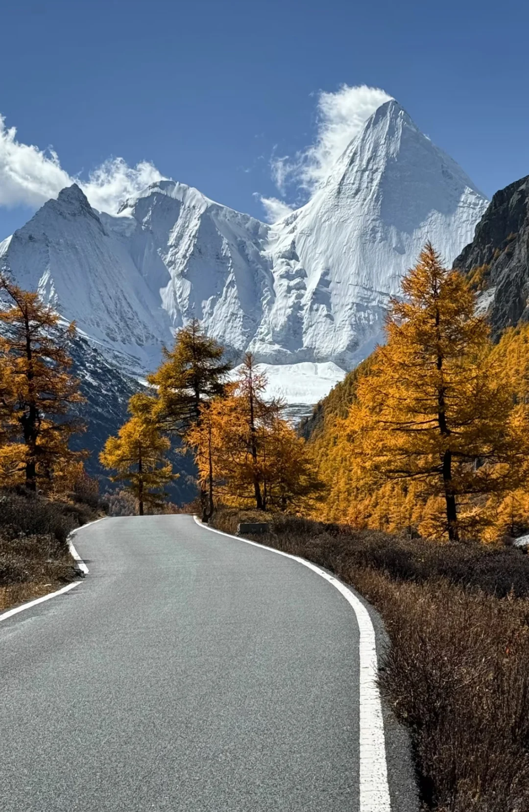 川西人民的嘴巴真严啊