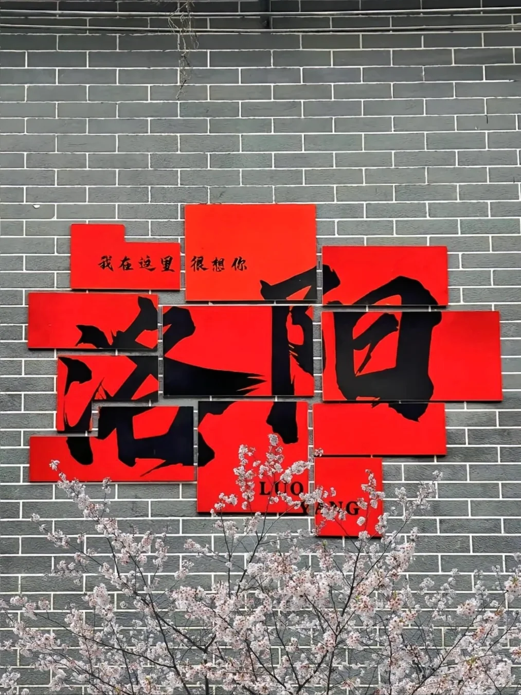 第一次带爸妈去洛阳（全攻略）