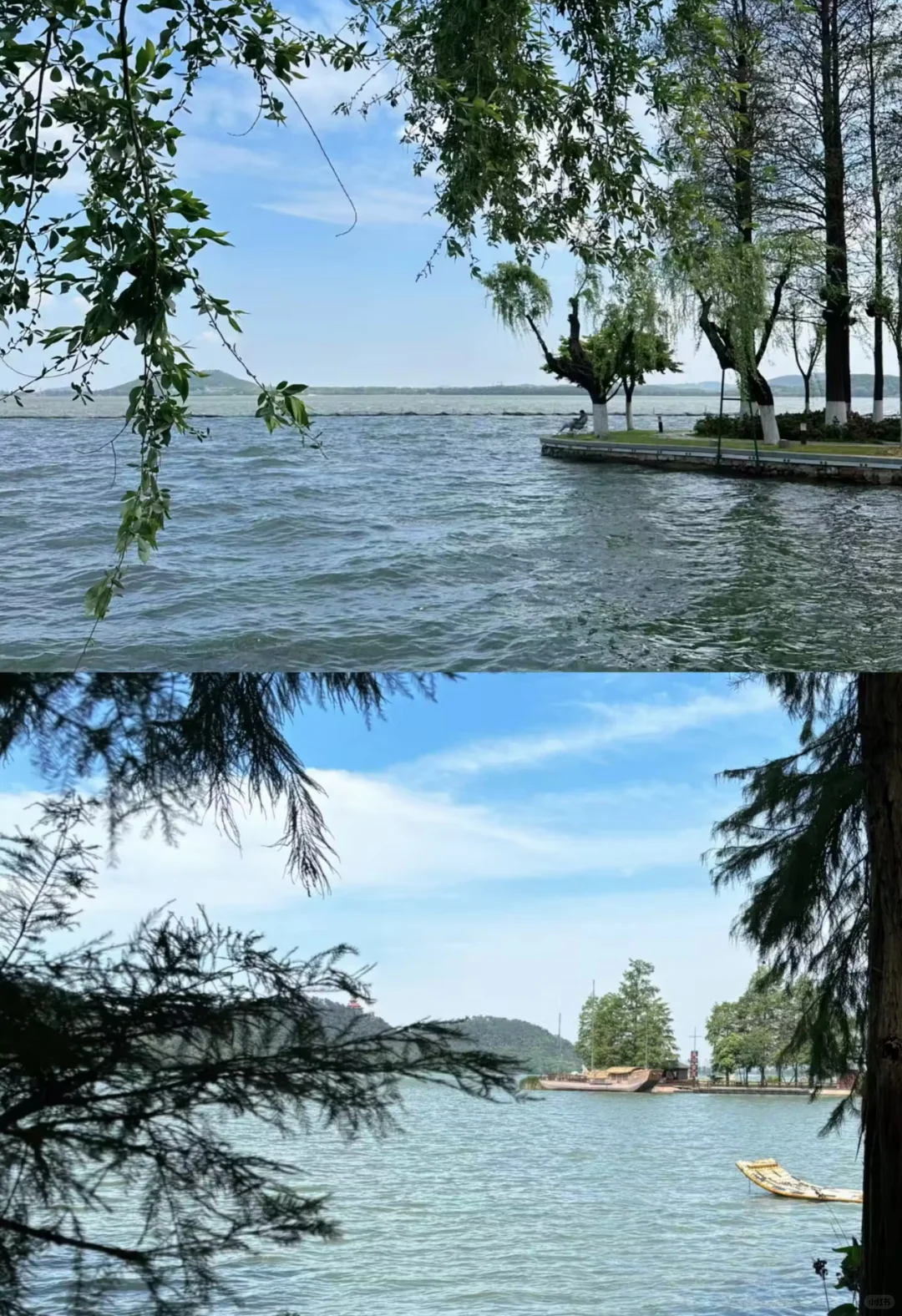 🌸武汉东湖全攻略