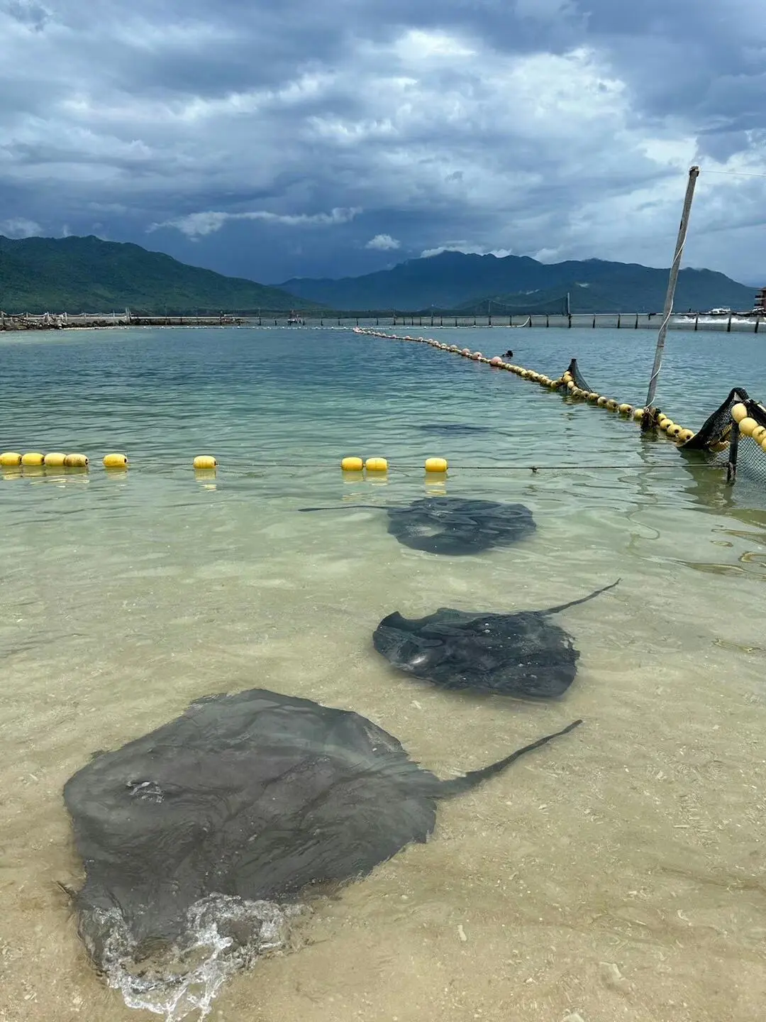 海南环岛旅游