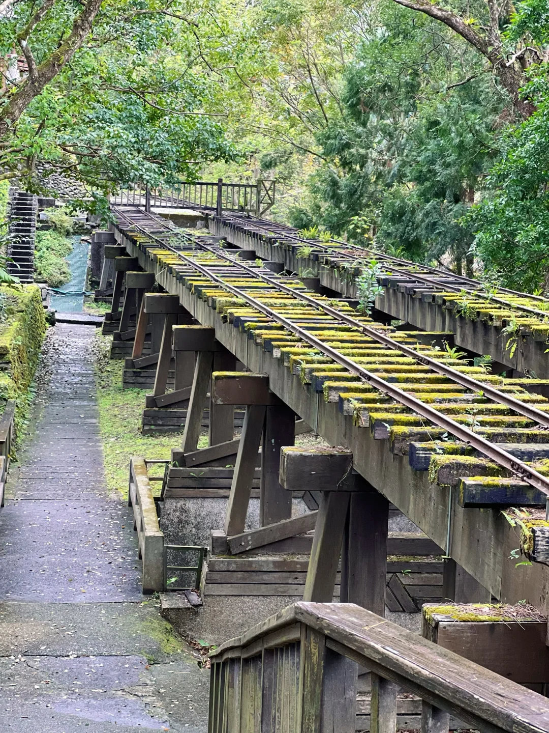 花蓮林田山，我來了～～