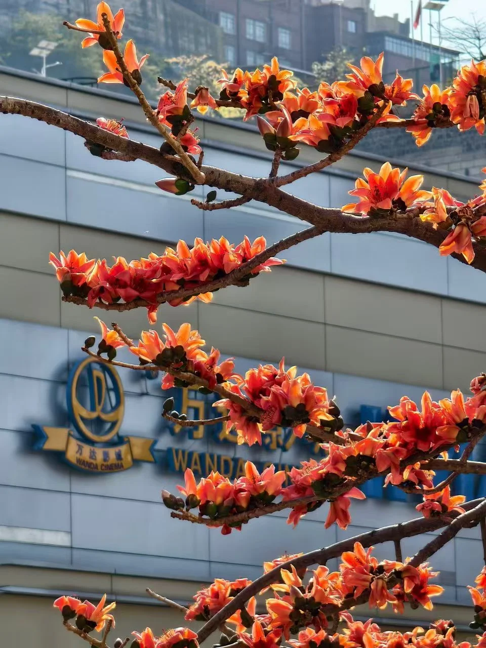 春节反向玩8个小众城市，温暖整个冬天