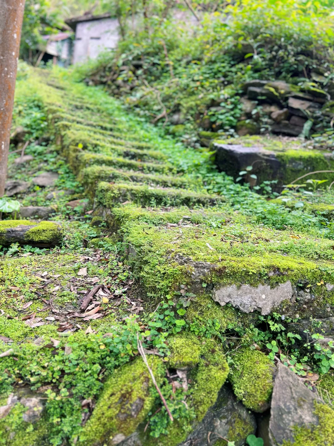 花蓮林田山，我來了～～