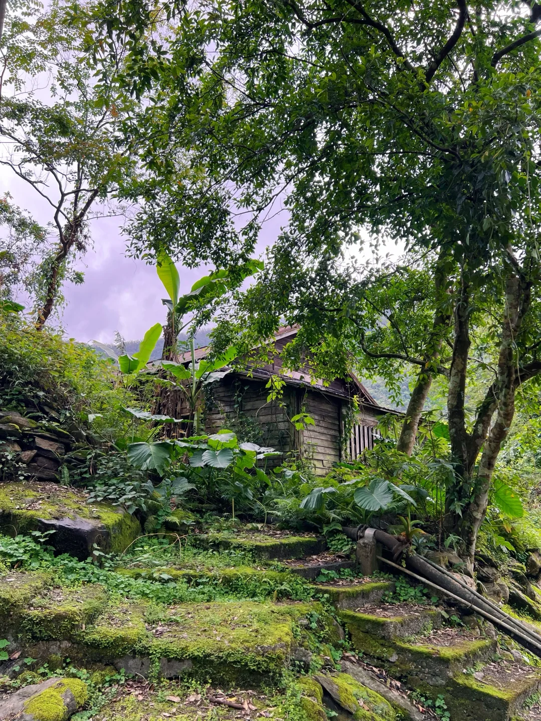 花蓮林田山，我來了～～