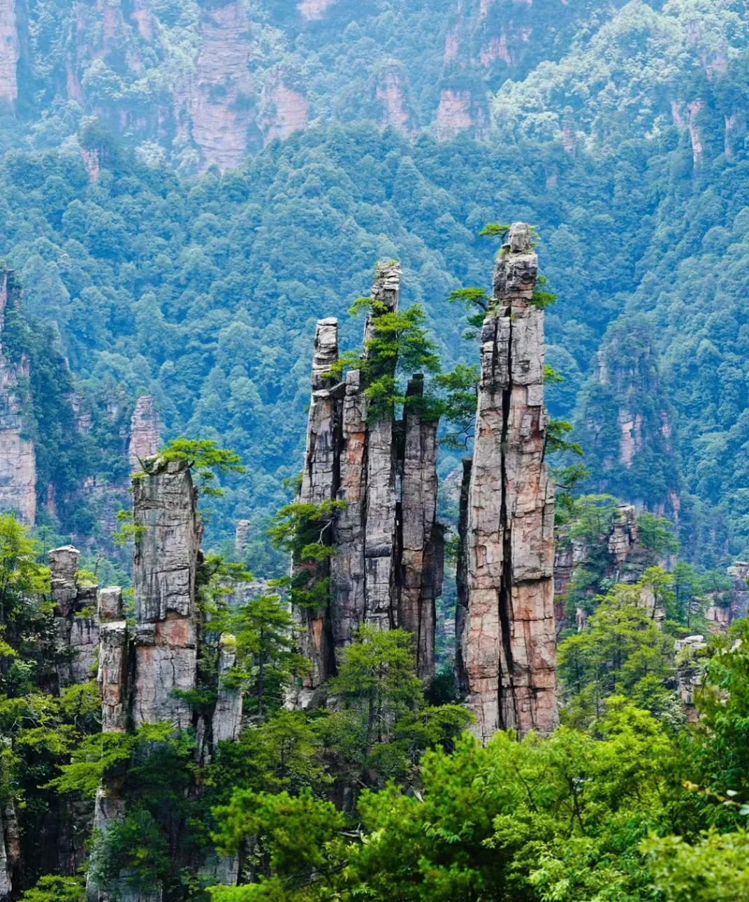 风吹洛阳城 花开盛唐梦