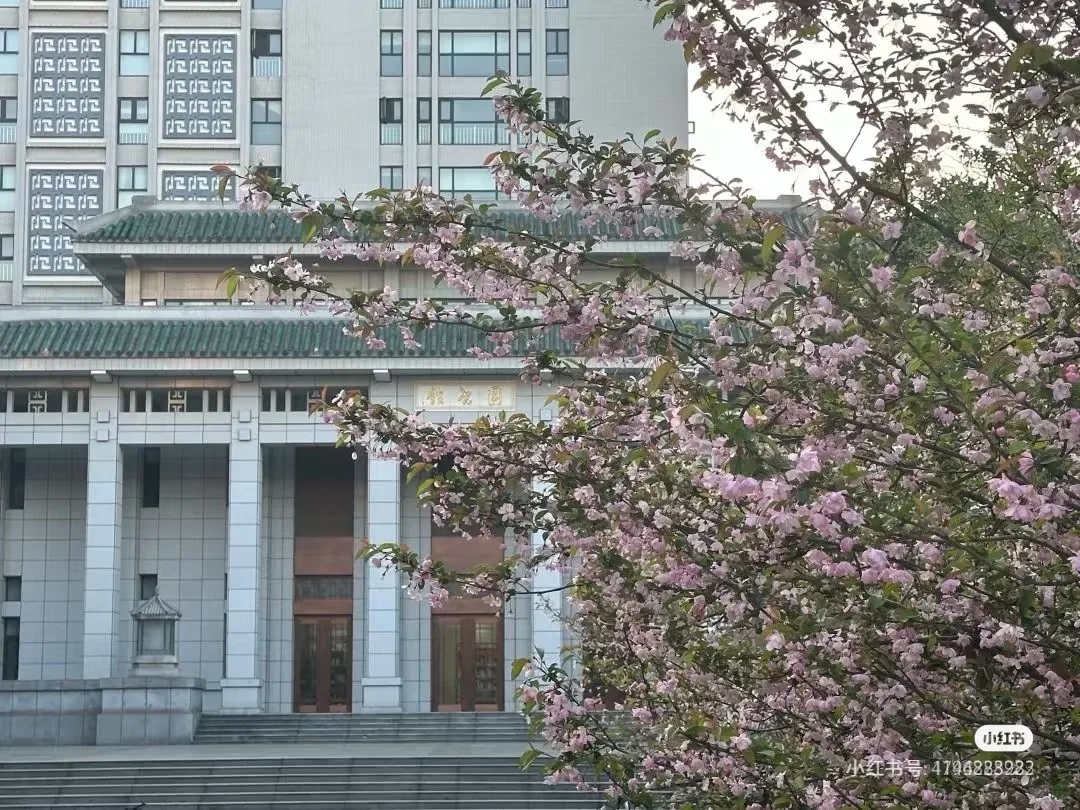 武汉大学旅游