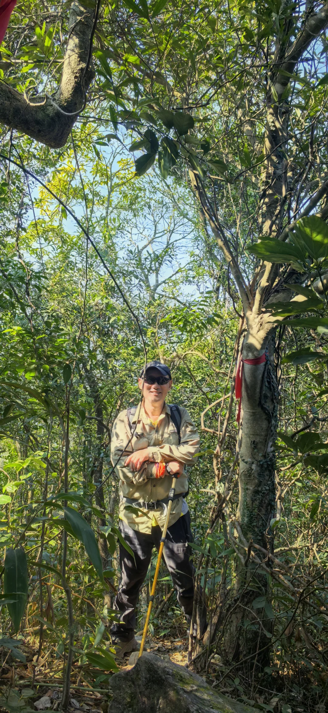 这就是望郎归。