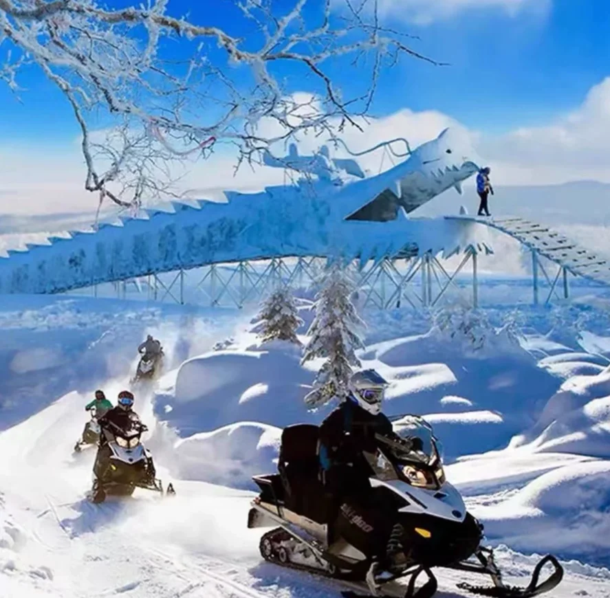 亚布力雪乡包车一日游 就是靠谱实惠