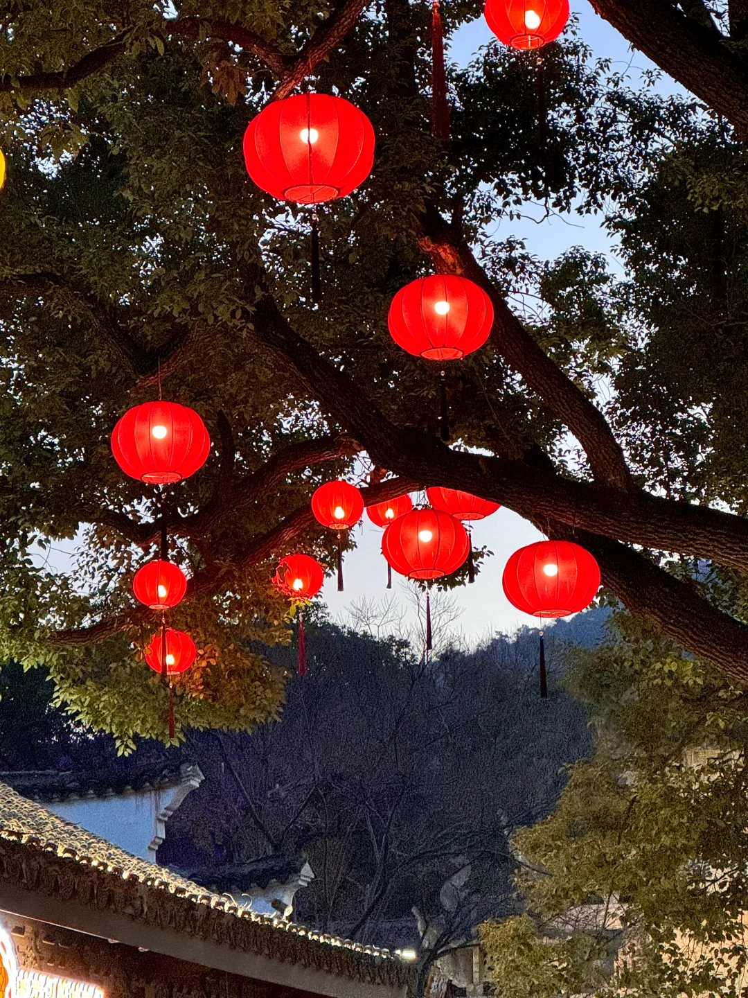央妈亲选🏮