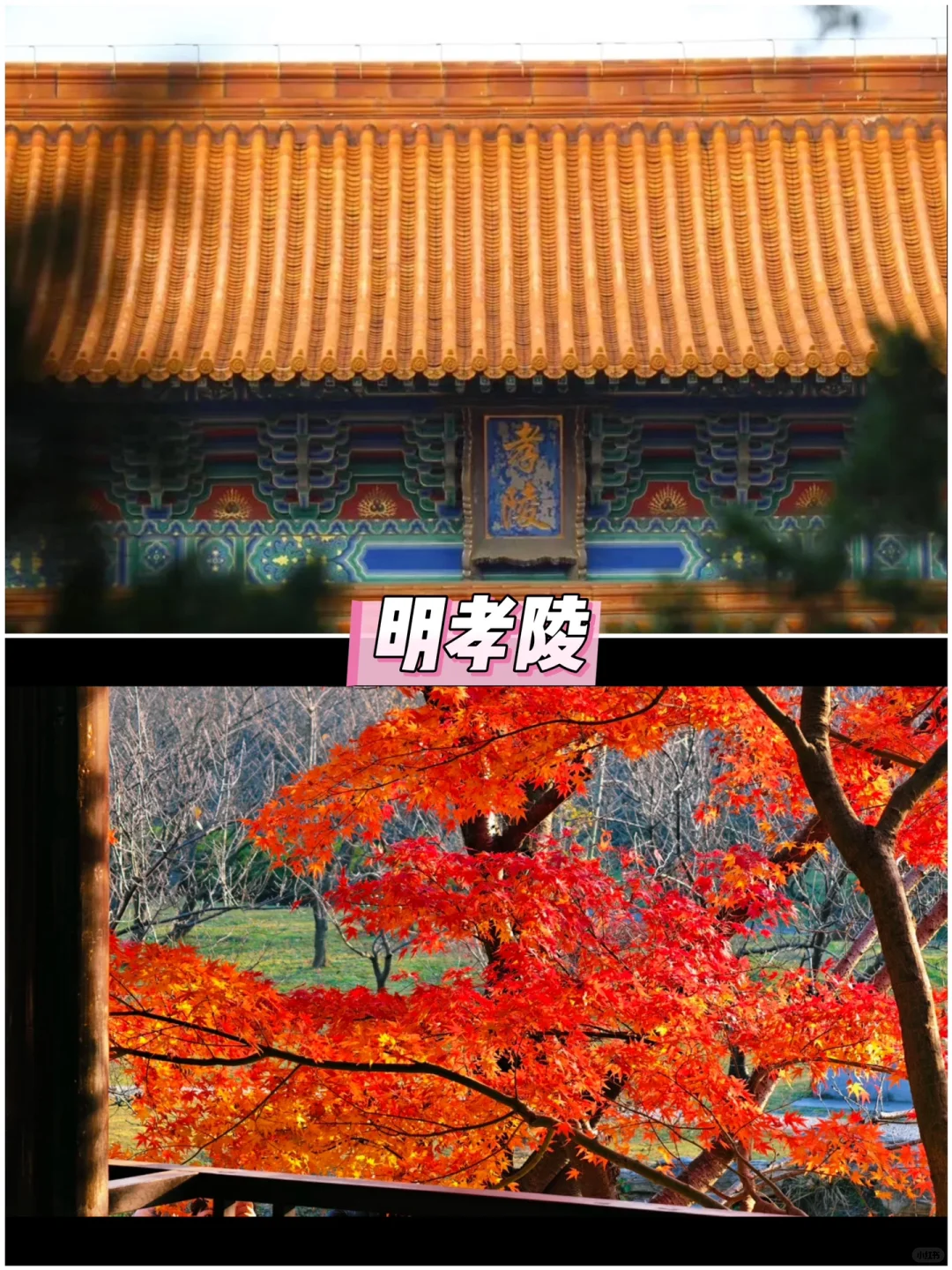 南京省时省力旅行安排攻略‼️自用路线总结！