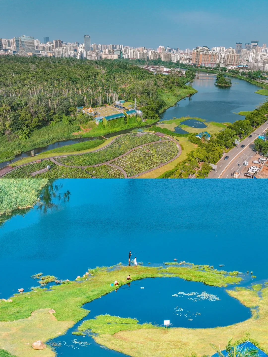 为了这18张图，我特意飞了一趟海口‼️